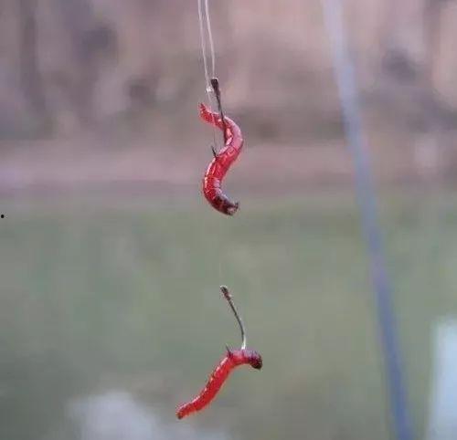 拉饵怎么挂钩视频,轻松掌握钓鱼新技能