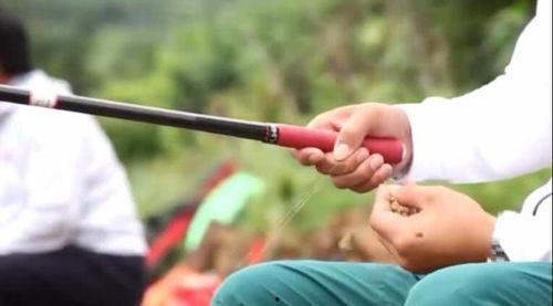 王超黑坑钓鱼视频,王超黑坑钓鱼实战技巧解析