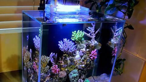 森森鱼缸安装视频