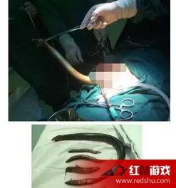 直播黄鳝女主播视频,揭秘网络直播的暗流涌动