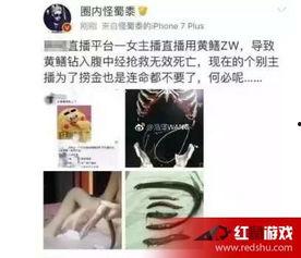 直播黄鳝女主播视频,揭秘网络直播的暗流涌动