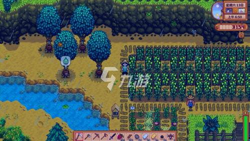 星露谷物语视频