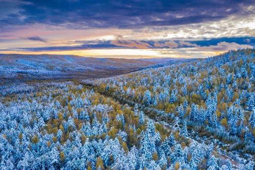大兴安岭风景视频