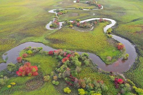大兴安岭风景视频