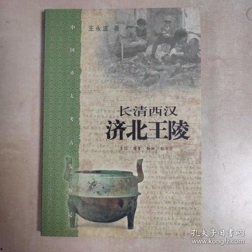 济北王陵发掘视频,千年古墓的神秘面纱