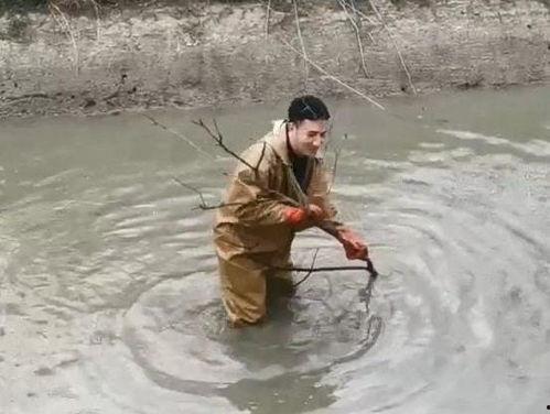 捕甲鱼视频,惊险刺激的野外捕捉过程