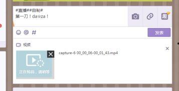 qq空间视频转码,轻松转换，畅享多元娱乐体验