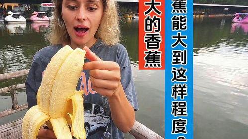 大香焦大香蕉视频