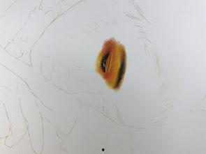 彩铅视频,跟随视频轻松掌握彩铅技巧